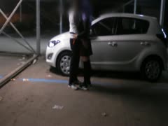 Strichnutte auf dem Auto gefickt